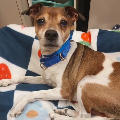 Peanut - Staff Pick!