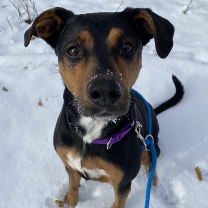 Ellie - Benchwarmer!