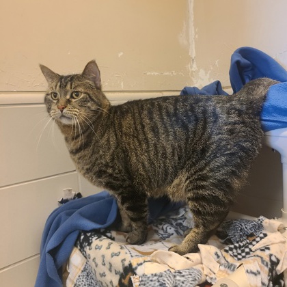 Jax - Required Couple!