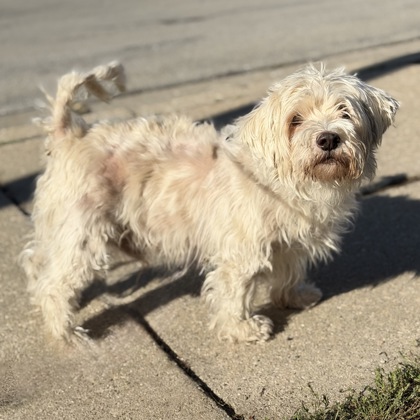 Max - Required Couple