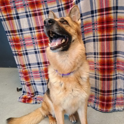 Chloe - Benchwarmer!