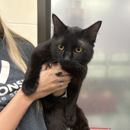 Salem