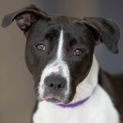 Sasha - Video & Benchwarmer!