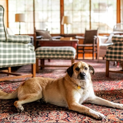 Ranger - Video & Volunteer Pick!