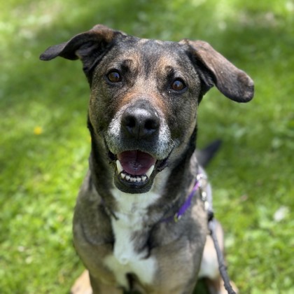 Sadie