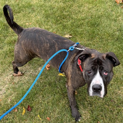 Rousey - Benchwarmer!