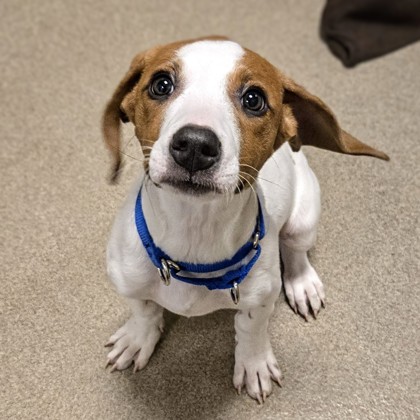 BMO - Available Fri. Feb. 20 @ 1pm