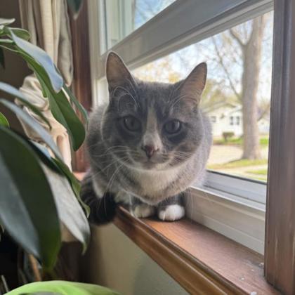 Luna