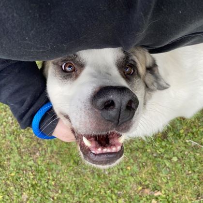 Titan - Benchwarmer!