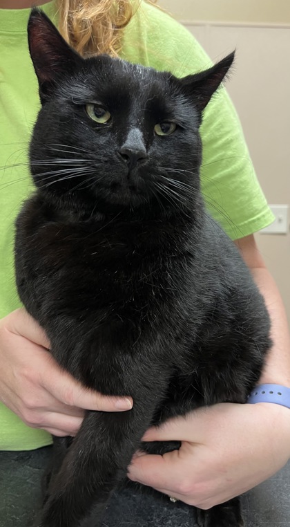 Sebastian