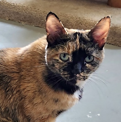 Winnie