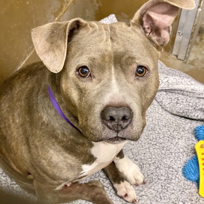 Lucky - Benchwarmer!