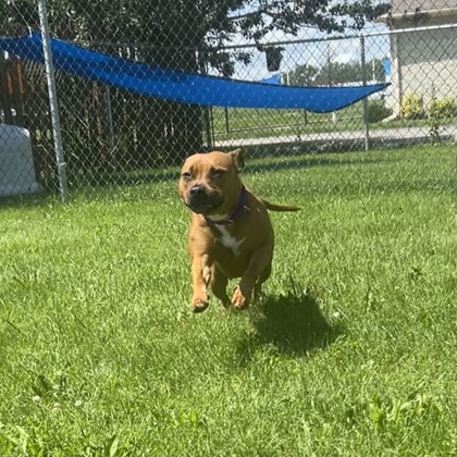 Colette - Benchwarmer!