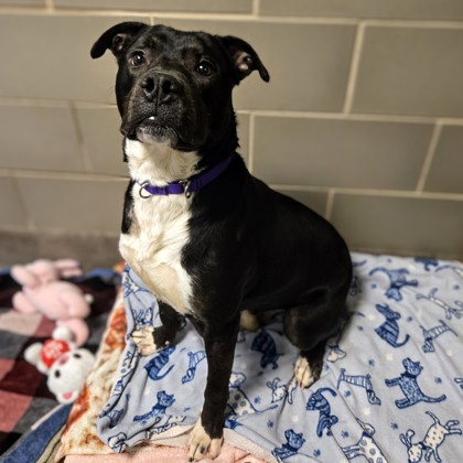 Zonna - Benchwarmer!