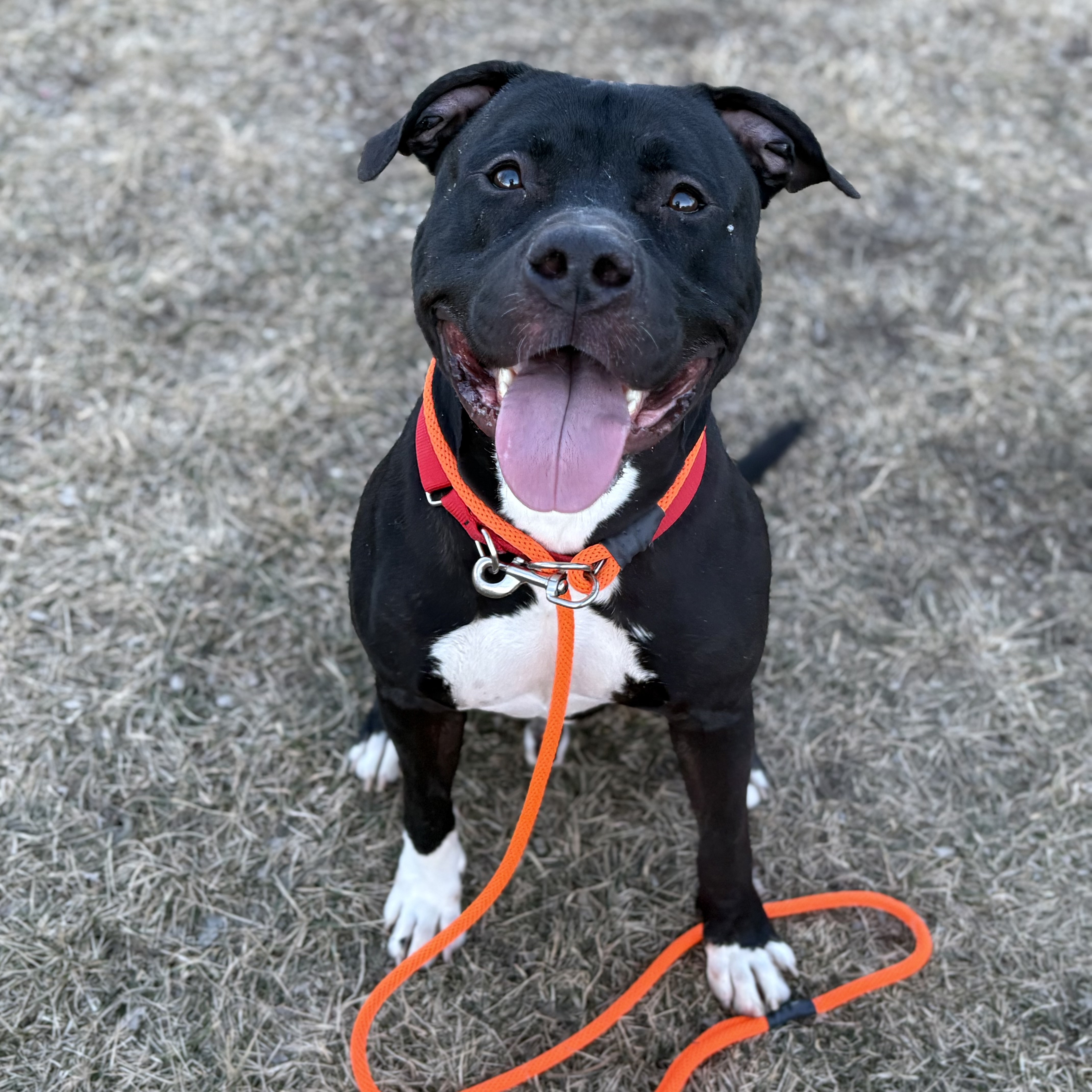 Hermes - Benchwarmer!