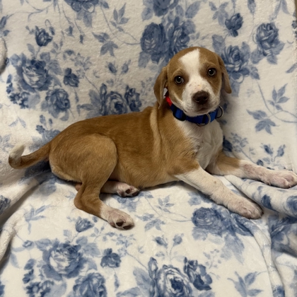 Sally - Available Wed. Jan. 14 @ 11am