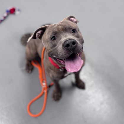 Plutonium - Benchwarmer!