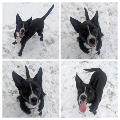 Redeye - Staff Pick!