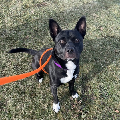 Harry - Benchwarmer!