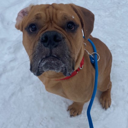 Mickey - Benchwarmer!