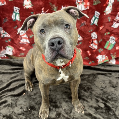 Plutonium - Benchwarmer!