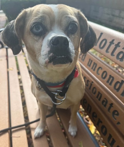 Pablo