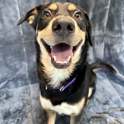 Hades - Benchwarmer!