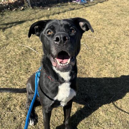 Kiara - Benchwarmer!