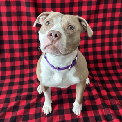 Lizeth - Benchwarmer!