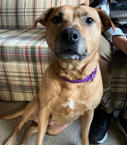 Coraline - Staff & Volunteer Pick, Benchwarmer!