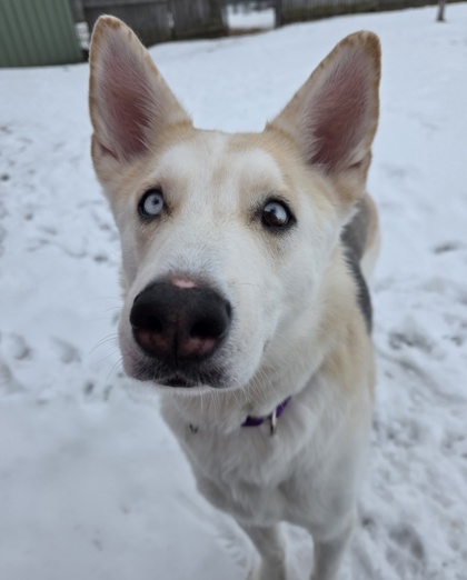 Winter - Benchwarmer!