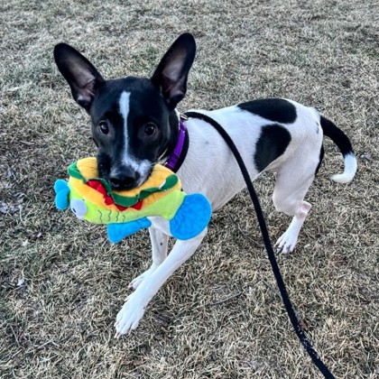 Spotti - Benchwarmer!