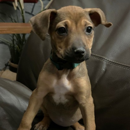 Summer - Available Sat. Feb. 21 @ 3pm!