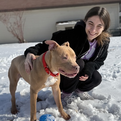 Ted - Double Staff Pick!