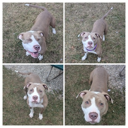 Lizeth - Benchwarmer!