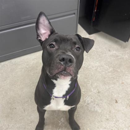 Spiker - Benchwarmer!