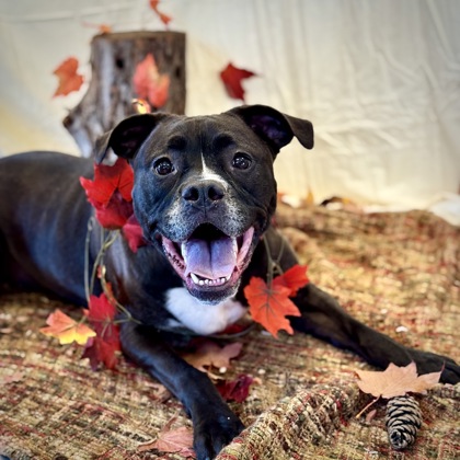 Winter - Benchwarmer!