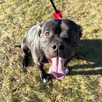 Billy - Benchwarmer!