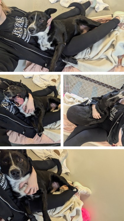 Redeye - Staff Pick!