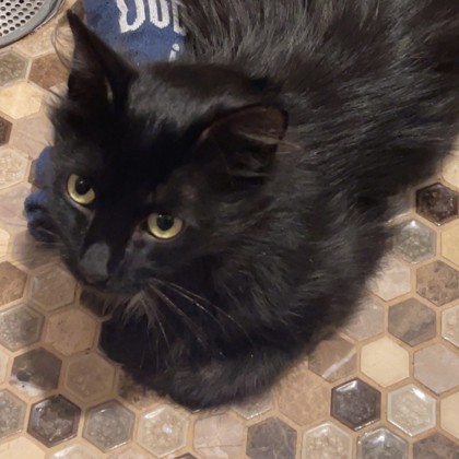 Super Floof
