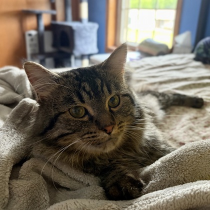 Mingus
