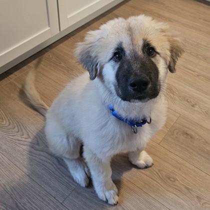 Faux Hawk