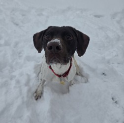 Gunnar - Benchwarmer!