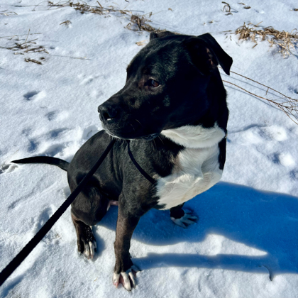 Zonna - Benchwarmer!