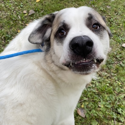 Titan - Benchwarmer!