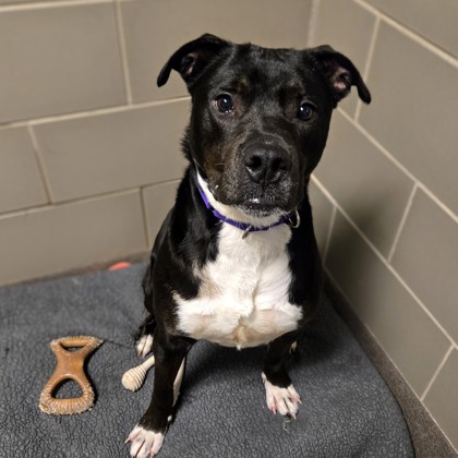 Zonna - Benchwarmer!