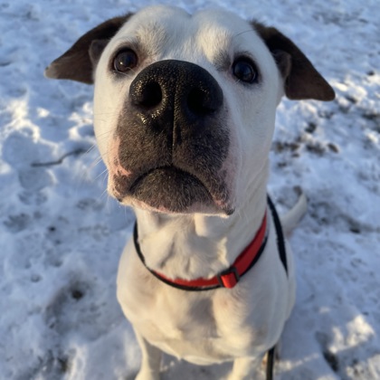 Gryffin - Benchwarmer!