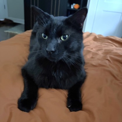 Prince Zuko