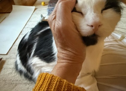 Gizmo