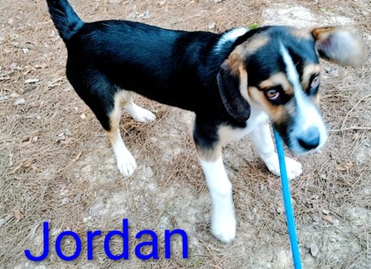 Jordan